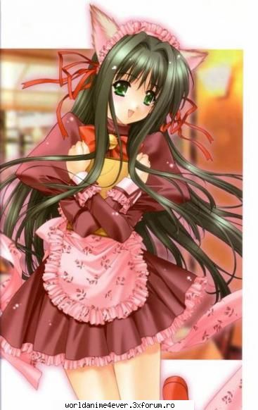 :dinti: girls anime