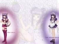 renee - ce parere aveti despre renee ? eu una cred ca e - Mew Mew Power